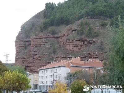 Enología en Rioja - Senderismo Camino de Santiago - Najera; senderistas murcia